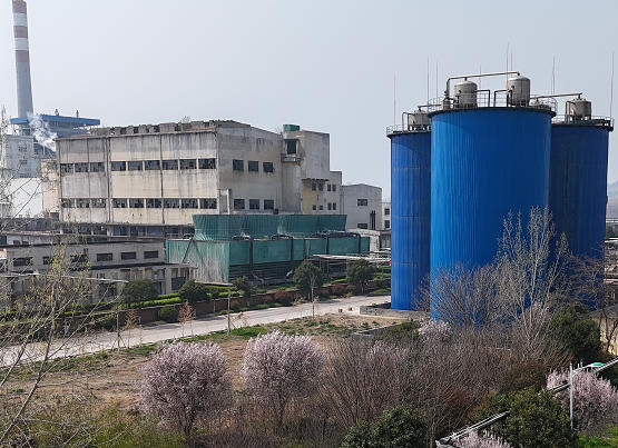 远通纸业清洁生产审核第一次公示